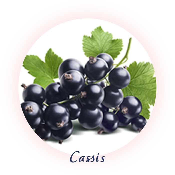 カシス