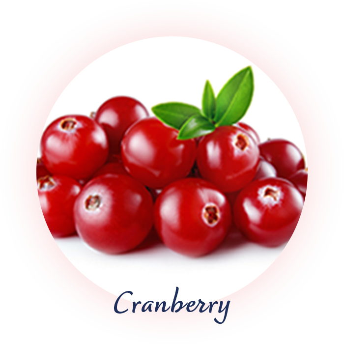 クランベリー